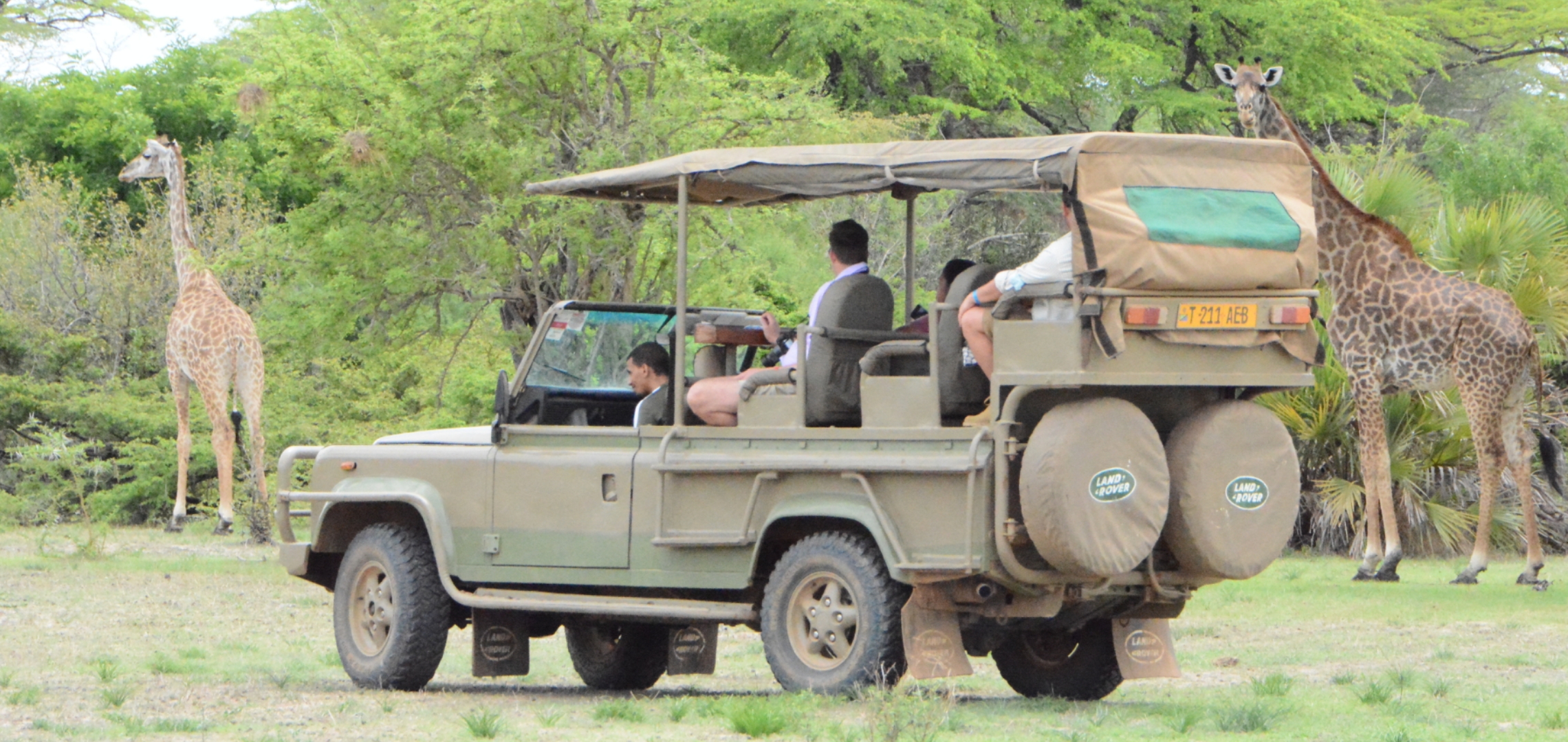 Guide to the Best Tanzania Safaris