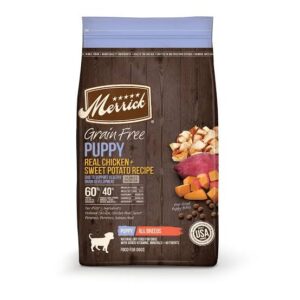 What is the top 10 dog food brands?