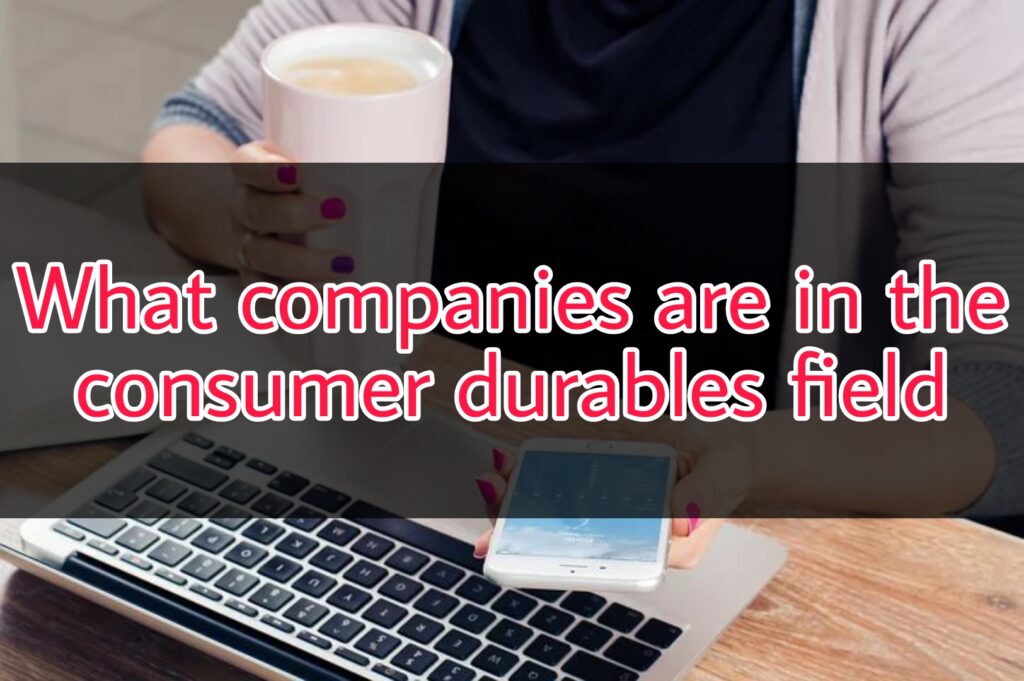 What companies are in the consumer durables field.