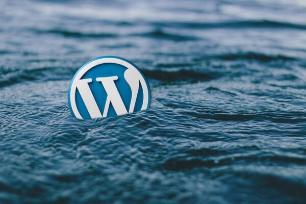 8 Best WordPress Hosting Should Use